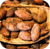 granos de cacao